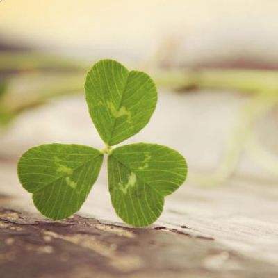 黄仁勋称所有大学毕业生都应该成为AI专家